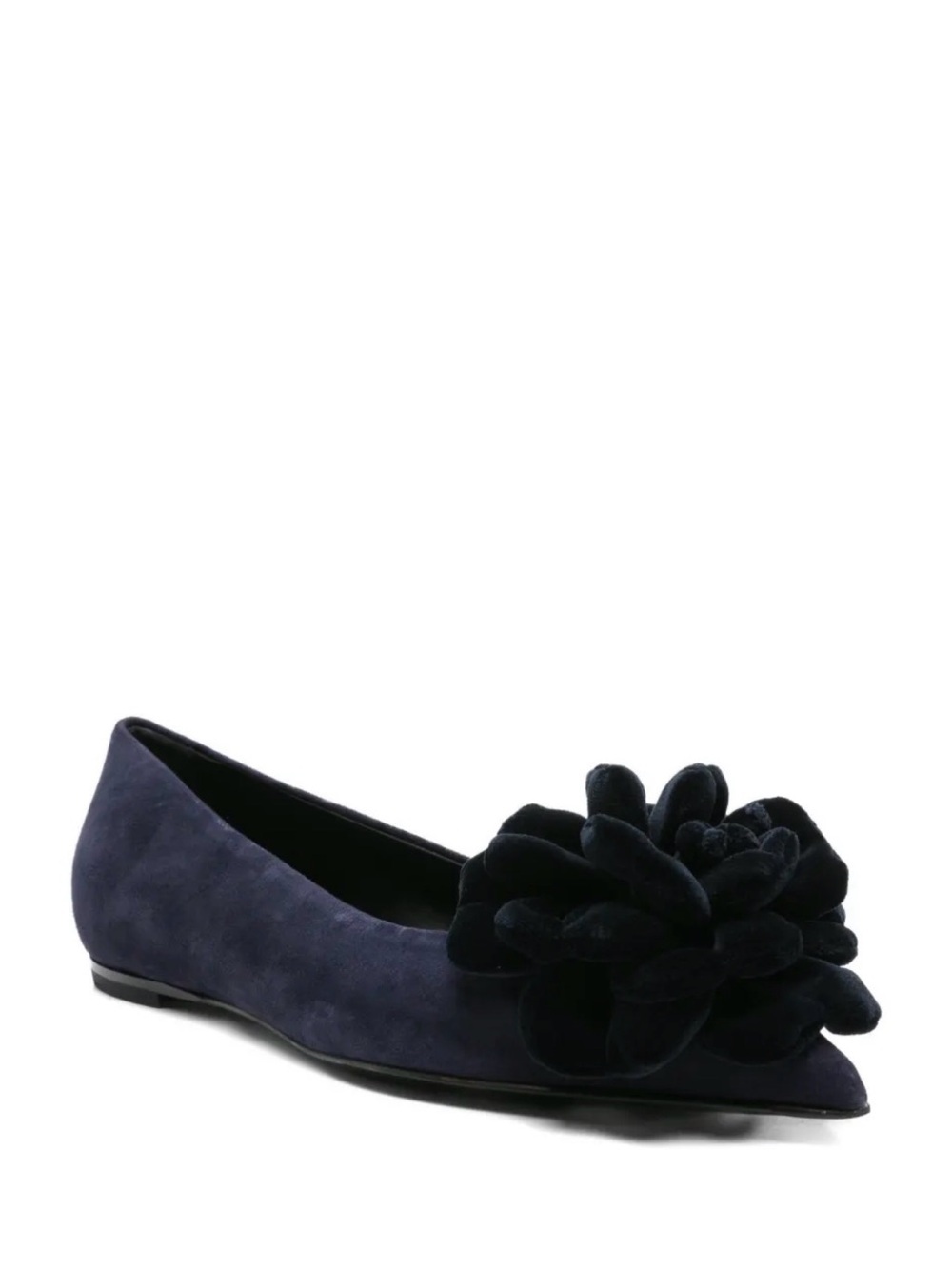 AGL Navy Suede Pointed-Toe Ballet Flat with Suede Flower